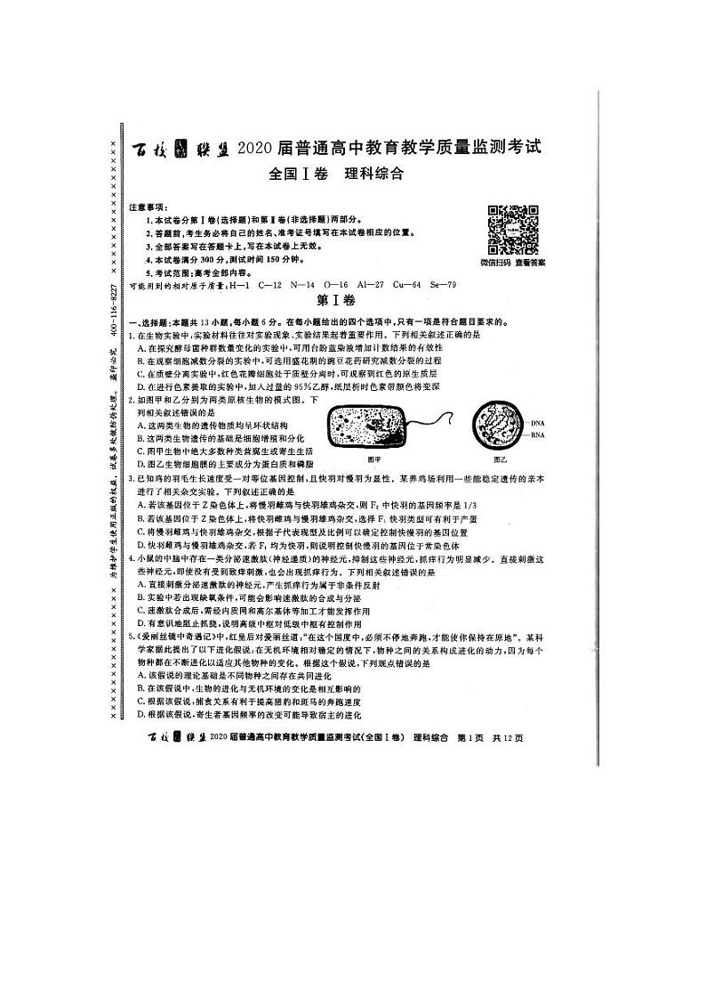 2020百校联盟6月普通高中教育教学质量监测理综PDF版含答案01