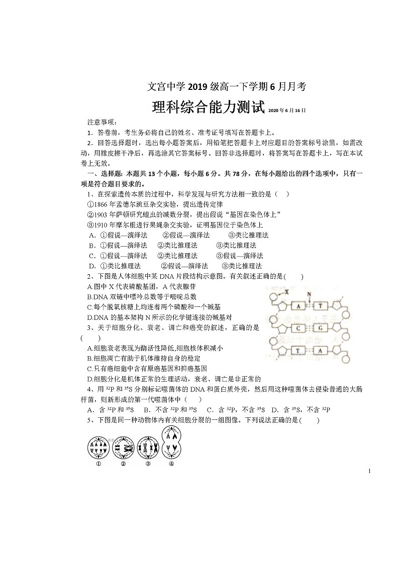 2020仁寿县文宫中学高一6月月考（期中）理科综合试题扫描版含答案第1页