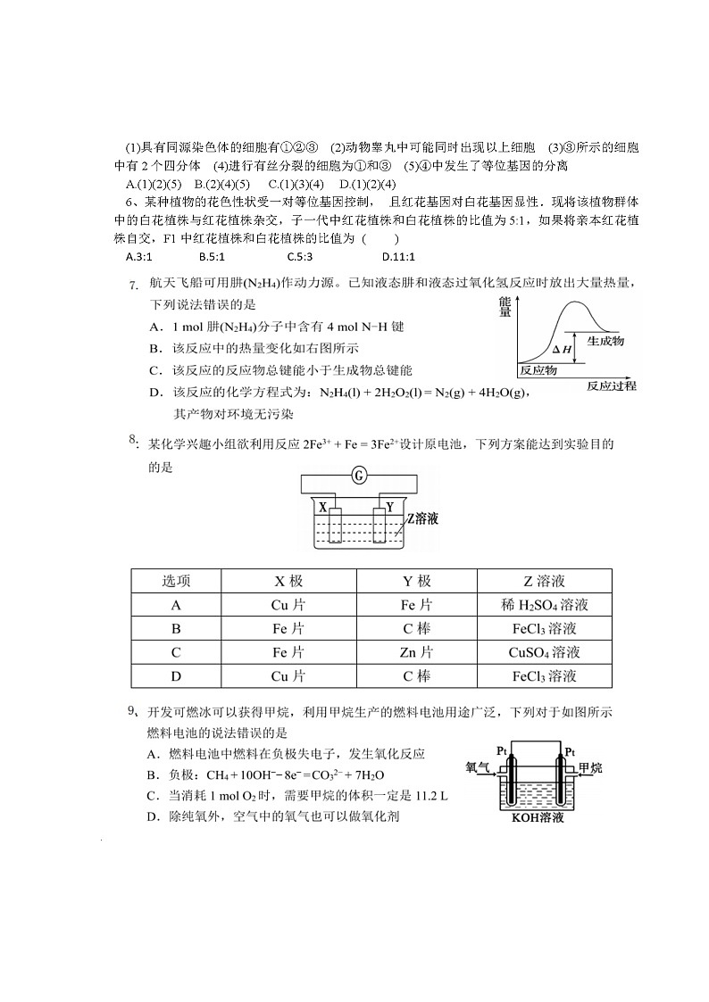 2020仁寿县文宫中学高一6月月考（期中）理科综合试题扫描版含答案第2页