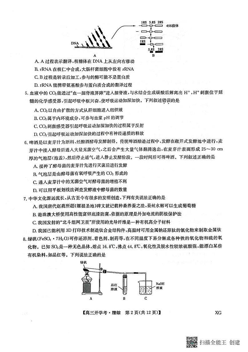 2023九师联盟高三下学期2月开学考试（新教材老高考）理综PDF版含解析02