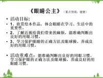 大班健康《眼镜公主》PPT课件+教案