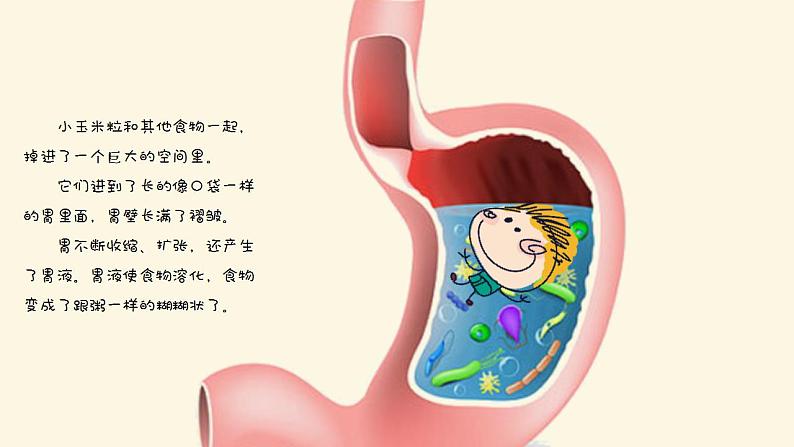 大班健康《便便是怎么来的》PPT课件+教案+课后反思07