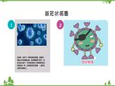 大班健康《如何预防新型冠状病毒》PPT课件+教案