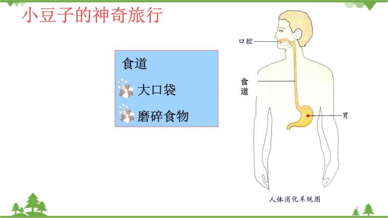 大班健康食物旅行記ppt課件教案