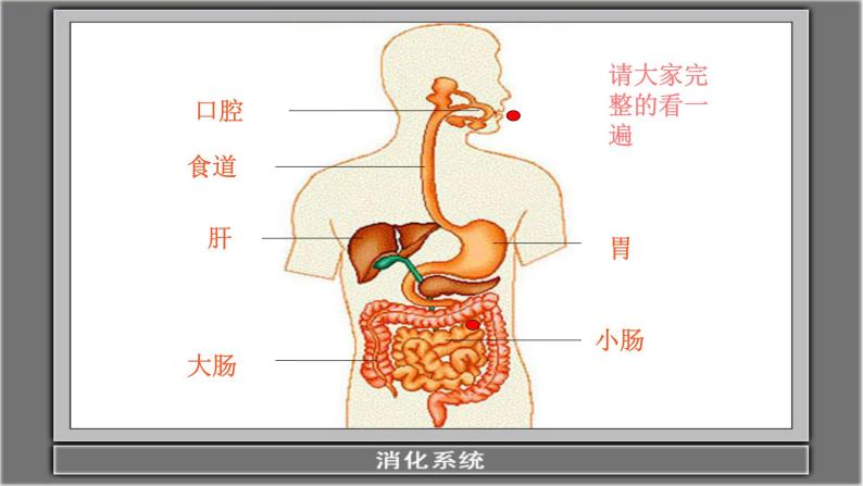 大班健康食物旅行记ppt课件教案