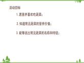 小班健康《蔬菜寶寶營養(yǎng)多》PPT課件+教案