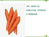 小班健康《蔬菜寶寶營養(yǎng)多》PPT課件+教案