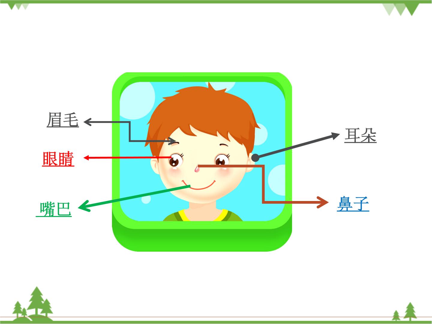 我的五官ppt图片教材图片