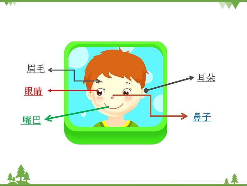 中班健康《认识五官》PPT课件+教案+反思03