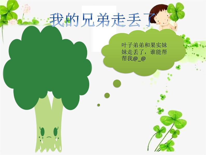 大班科学《大树的新外衣》课件第5页