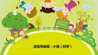 幼儿园小班科学领域《春天来了》课件+教案