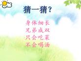 幼兒園小班科學(xué)領(lǐng)域《神奇的筷子》課件+教案