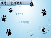 幼兒園小班科學(xué)領(lǐng)域《誰(shuí)的腳印》課件+教案
