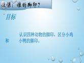 幼兒園小班科學(xué)領(lǐng)域《誰(shuí)的腳印》課件+教案