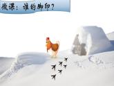 幼兒園小班科學(xué)領(lǐng)域《誰(shuí)的腳印》課件+教案