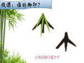 幼兒園小班科學(xué)領(lǐng)域《誰(shuí)的腳印》課件+教案
