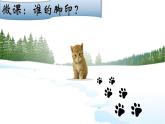 幼兒園小班科學(xué)領(lǐng)域《誰(shuí)的腳印》課件+教案