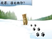 幼儿园小班科学领域《谁的脚印》课件+教案