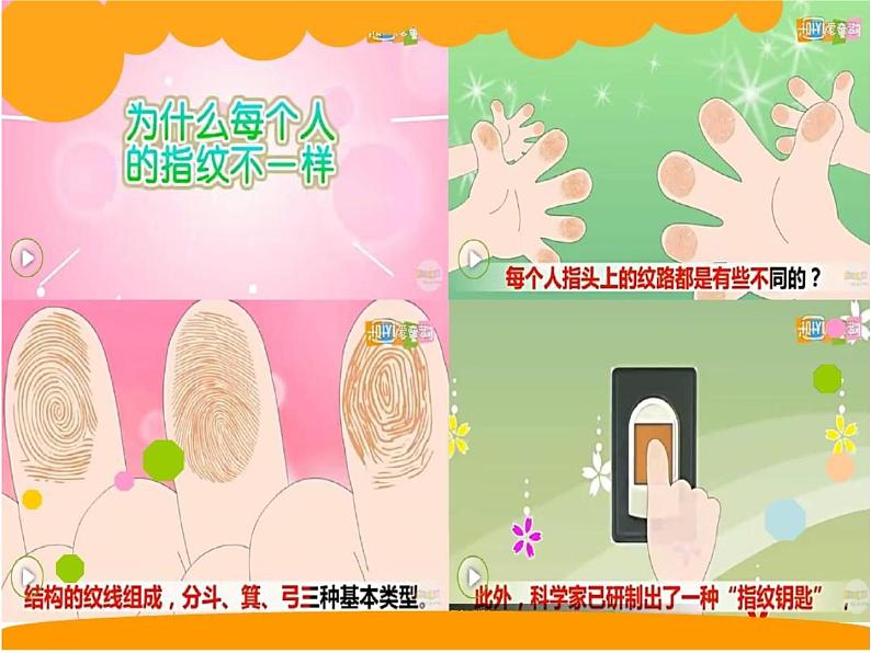 幼儿园小班科学领域《奇妙的指纹》课件+教案03