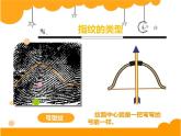 幼兒園小班科學(xué)領(lǐng)域《奇妙的指紋》課件+教案