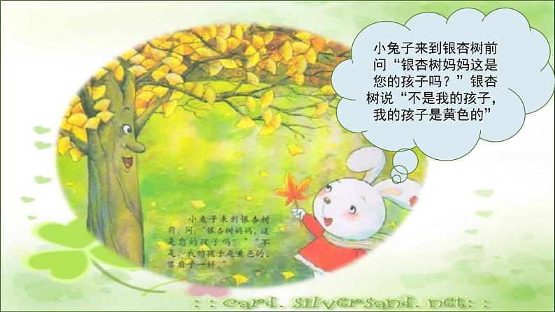 幼儿园小班科学领域《多彩的树叶》课件+教案04