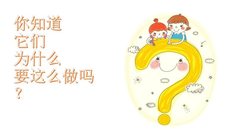 幼儿园小班科学领域《小动物去哪里了》课件+教案08