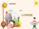 幼兒園大班科學領(lǐng)域《認識單雙數(shù)》課件+教案