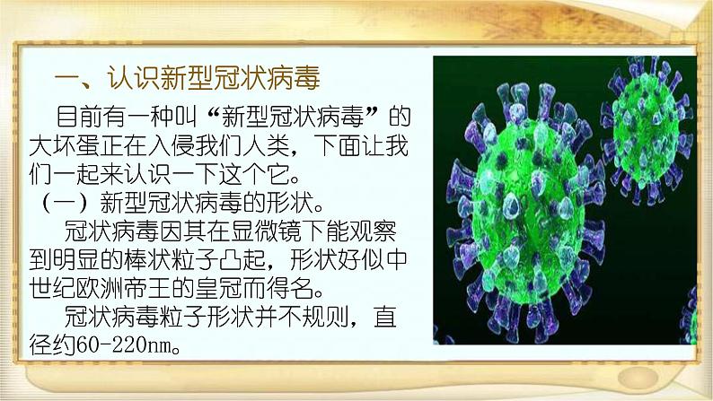 幼儿园大班科学领域《我们身边的病毒》课件+教案03