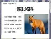 幼儿园小班美术课 第三课《树林里的小狐狸》课件+教案