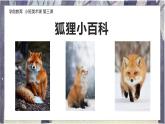幼儿园小班美术课 第三课《树林里的小狐狸》课件+教案