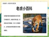 幼儿园小班美术课 第四课《萌虎出山》课件+教案