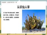 幼儿园小班美术课 第十一课《沙漠里的仙人掌》课件+教案
