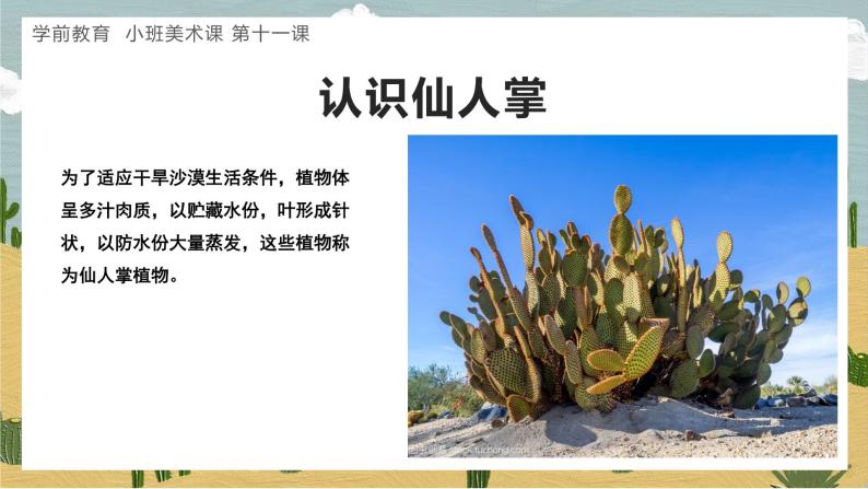 学前教育小班美术课沙漠里的仙人掌课件教案