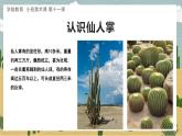 幼儿园小班美术课 第十一课《沙漠里的仙人掌》课件+教案