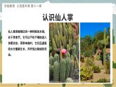 幼儿园小班美术课 第十一课《沙漠里的仙人掌》课件+教案