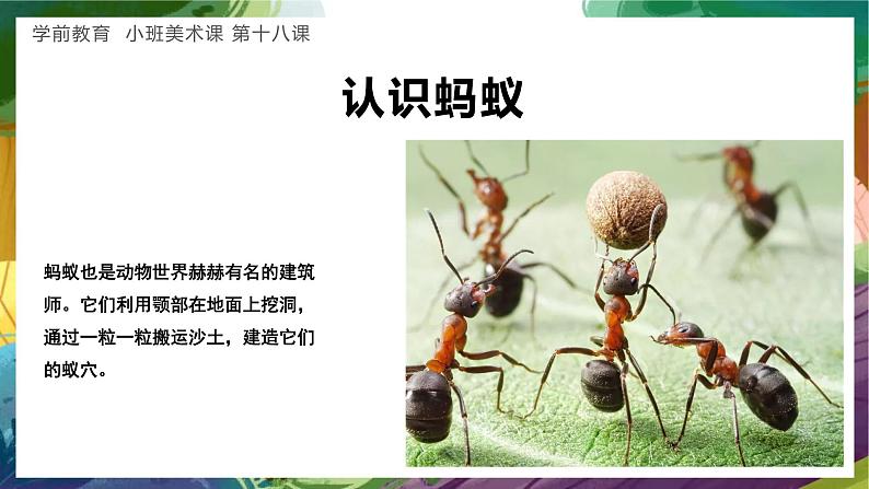 学前教育小班美术课《蚂蚁的穴洞》课件第4页