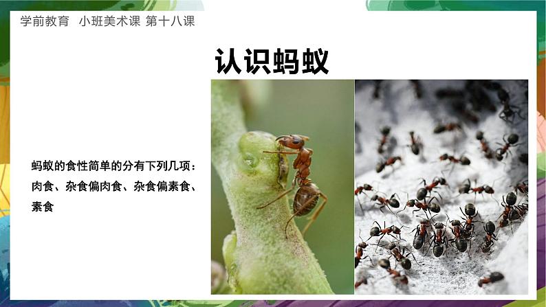 学前教育小班美术课《蚂蚁的穴洞》课件第5页