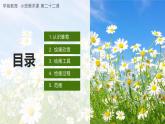 幼儿园小班美术课 第二十二课《小雏菊》课件+教案