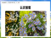 幼儿园小班美术课 第二十二课《小雏菊》课件+教案