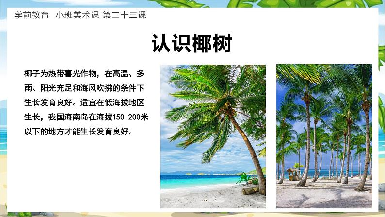 学前教育小班美术课《棷树》课件第5页