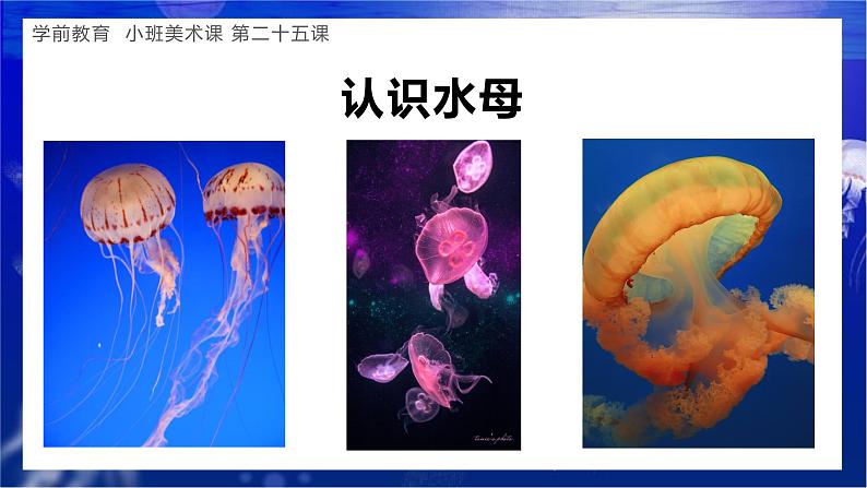幼儿园小班美术课 第二十五课《漂亮的水母》课件+教案06