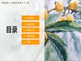 幼儿园小班美术课 第二十六课《枇杷果果》课件+教案