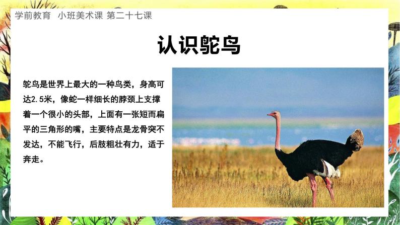 学前教育小班美术课第二十七课大眼鸵鸟课件教案