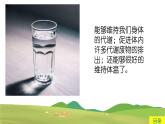 中班健康活动《给自己浇浇水》教案＋课件