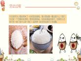 学前教育中班语言领域《米宝宝去旅行》课件+教案
