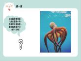 《乱挠痒痒的章鱼》课件+教案