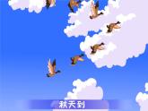 大班语言活动《秋天的颜色》课件PPT＋教案
