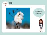 幼兒園中班藝術(shù)活動 第三課 《冬梅》課件+教案