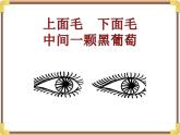 大班健康活動《健康日》課件
