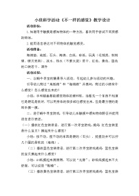 小班科学《不一样的感觉》教学设计